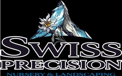 Swiss Precision Ent.